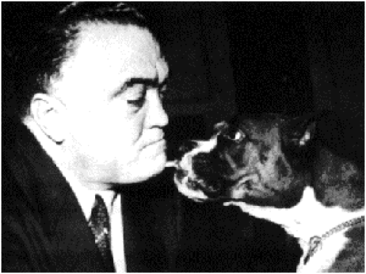 edgar-hoover-bulldog