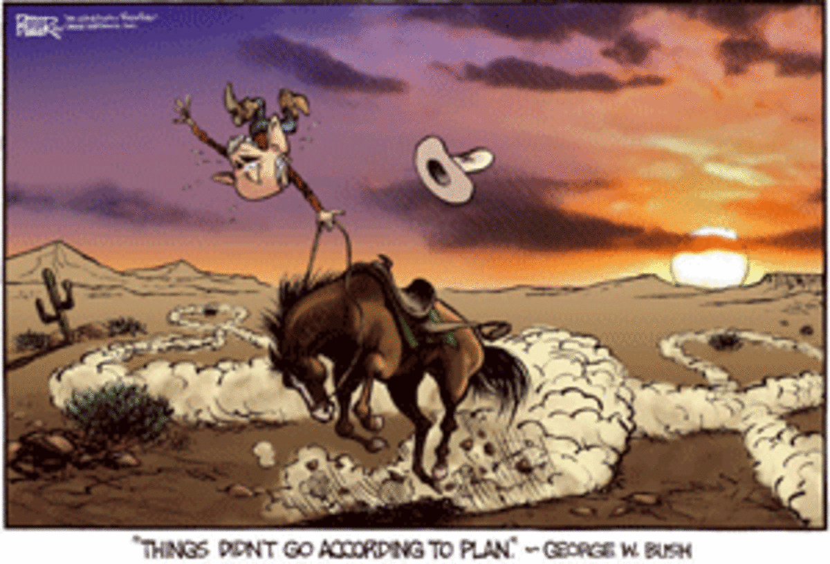 bush_sunset