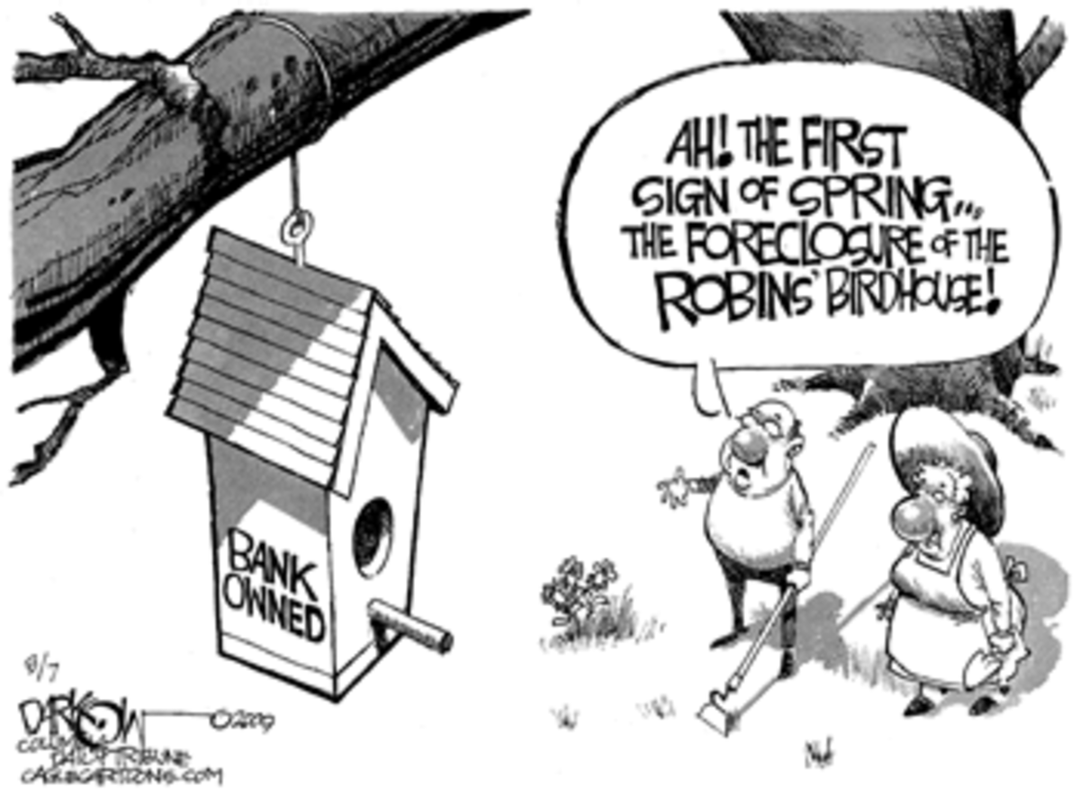 robins-nest