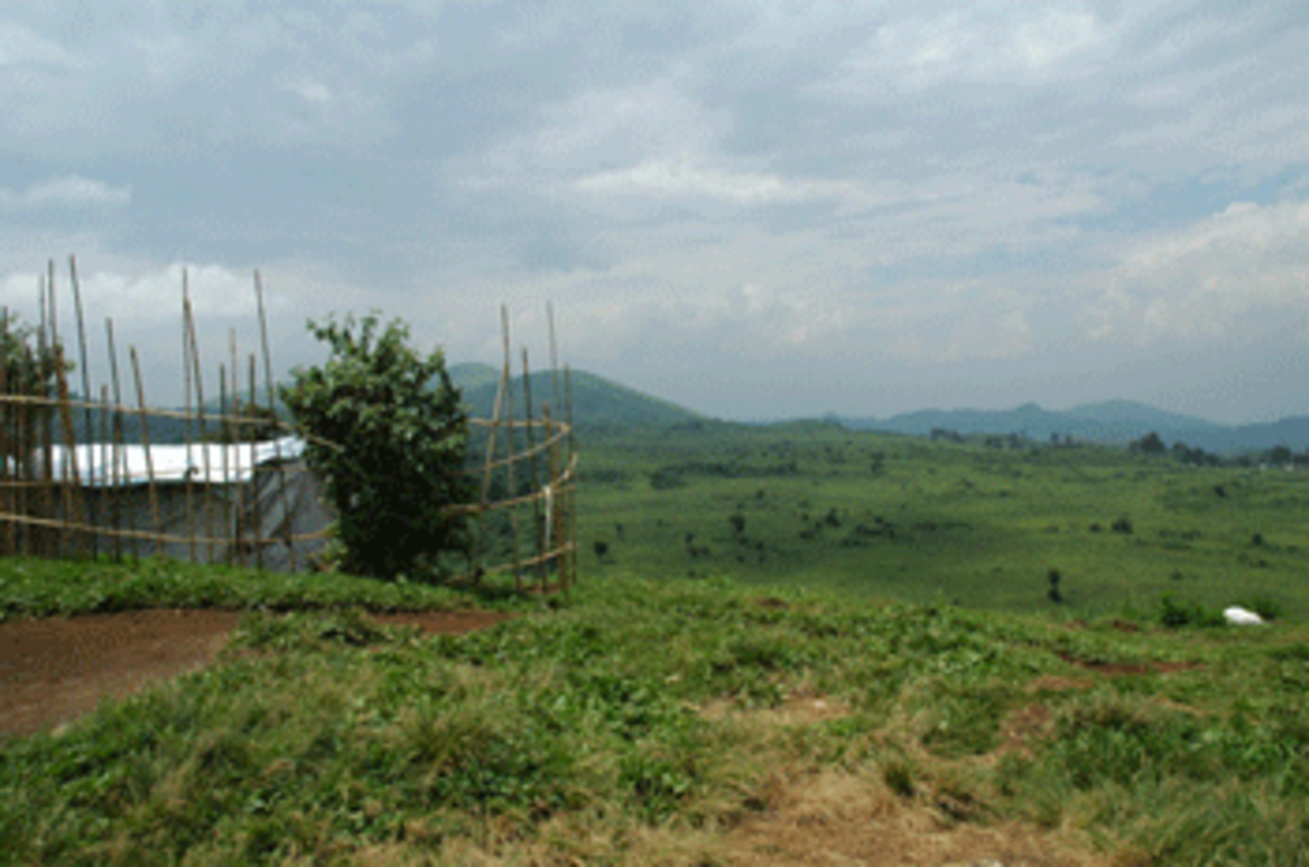 Image: CNDP territory before Umoja Wetu Copyright © Georgianne Nienaber