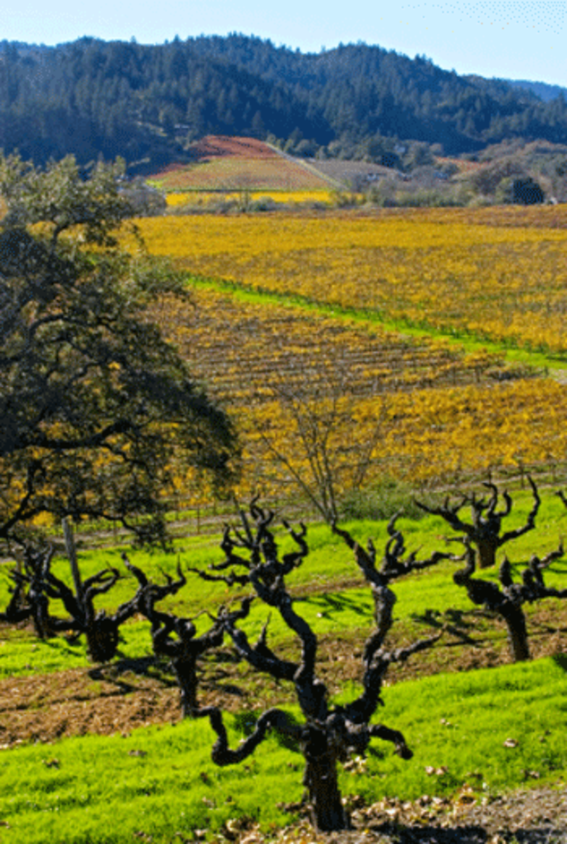 sonoma