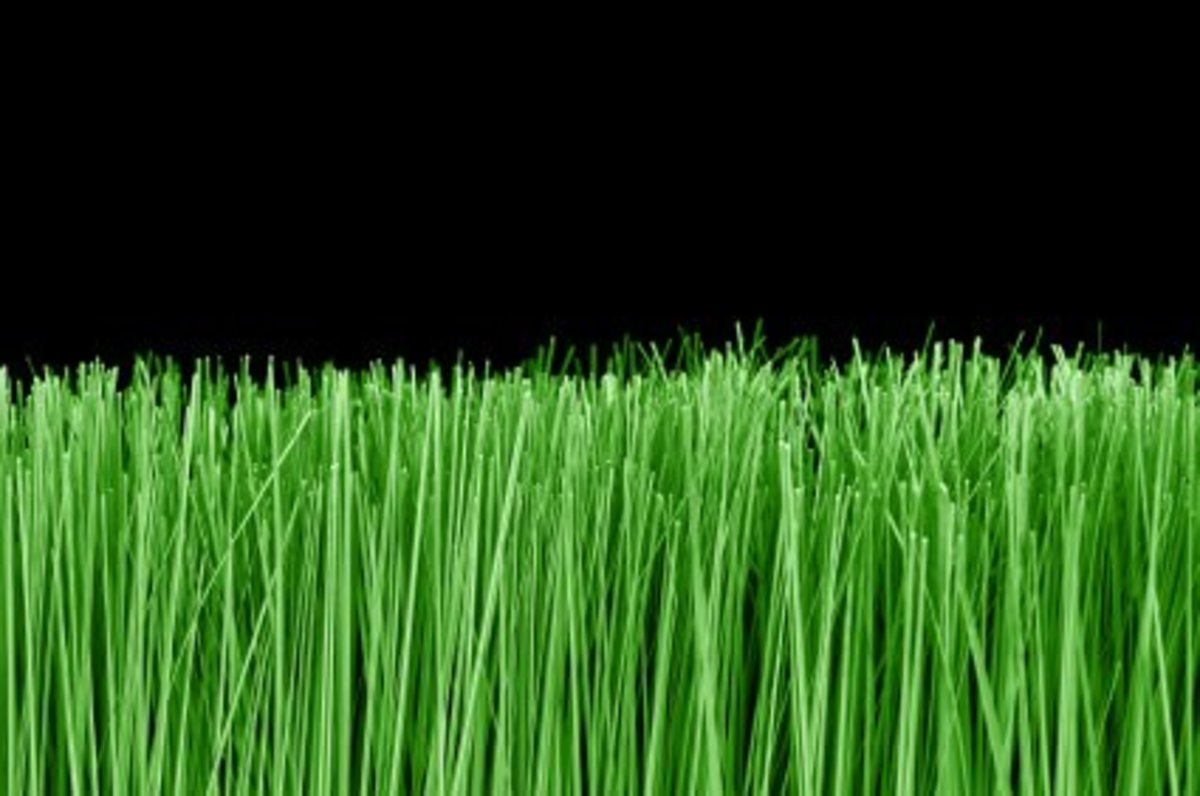AstroTurf Astroturf Along American Highways, and the Republican Plan