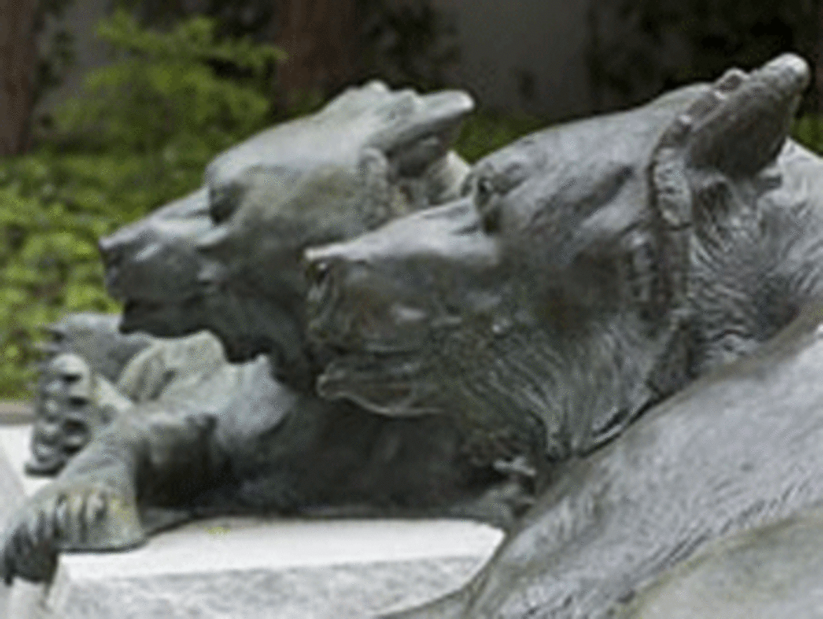 cal-bears