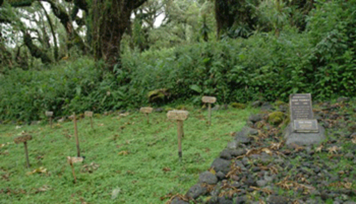 gn_d Fossey Buried in the Gorilla Graveyard © G. Nienaber