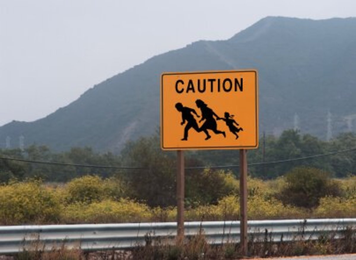 immigration Well Intentioned Brookings Report Falls Short on Solutions