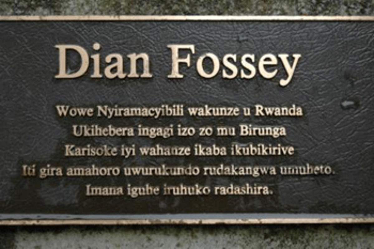 dian-fossey