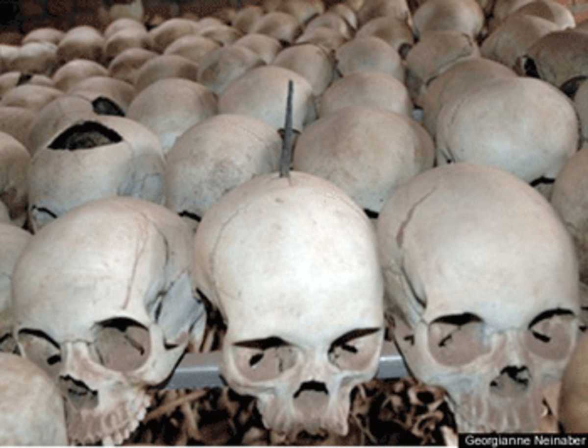 skulls photo skulls Dian Fossey Suspected Murderer Acquitted