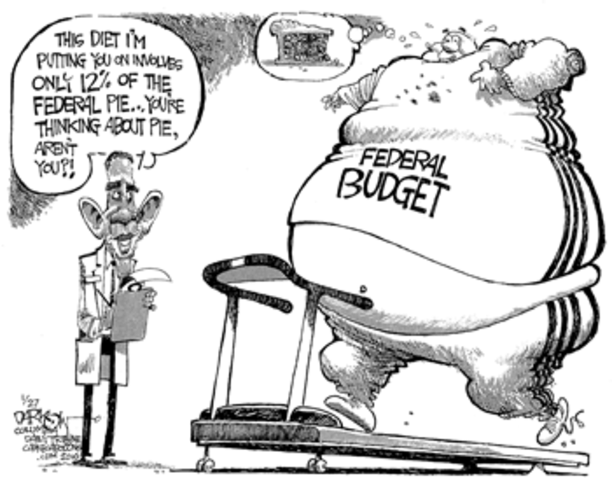 Budget-Pie