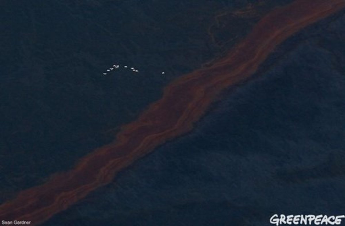 Gulf Oil Spill