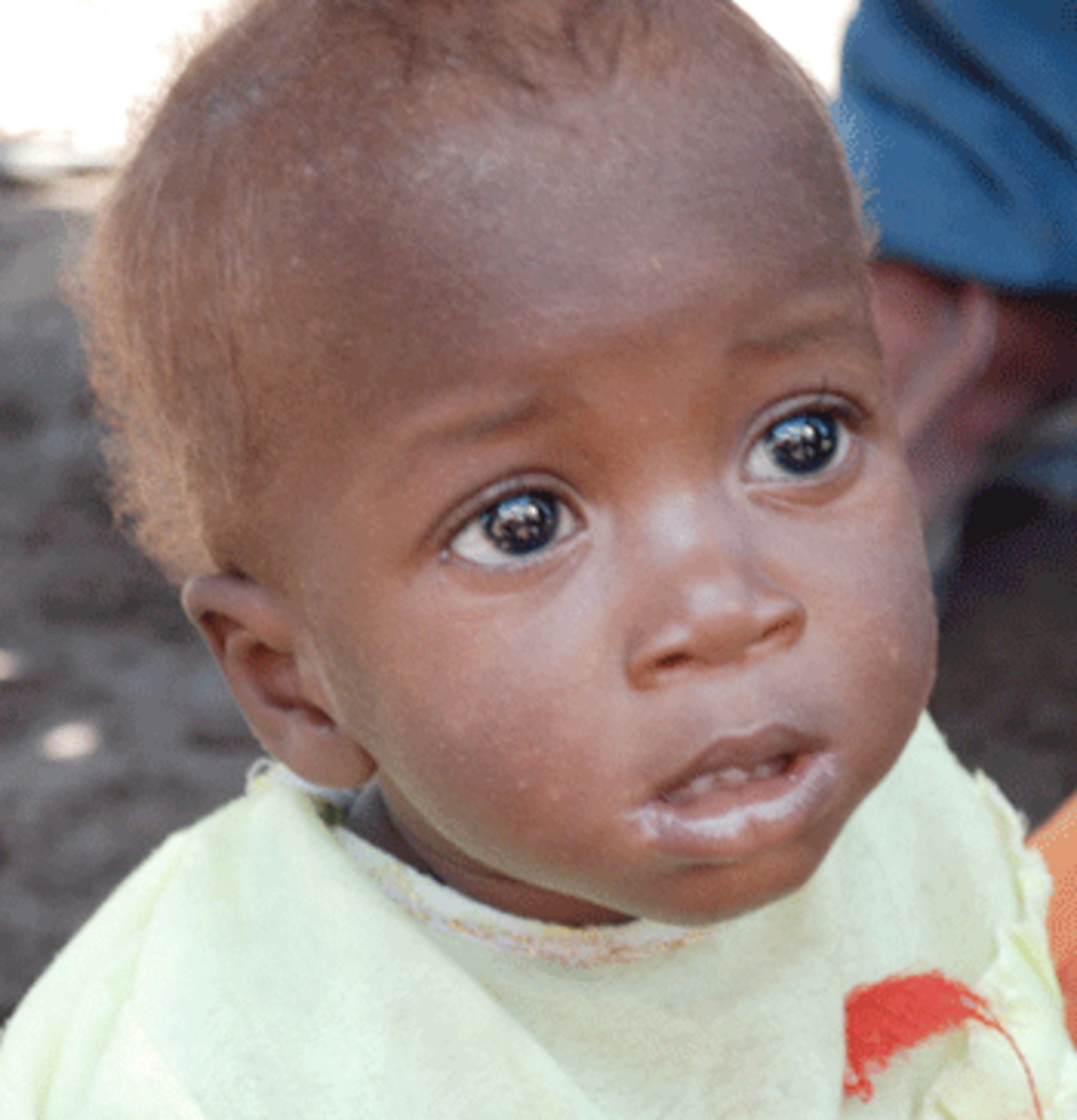 haiti camps