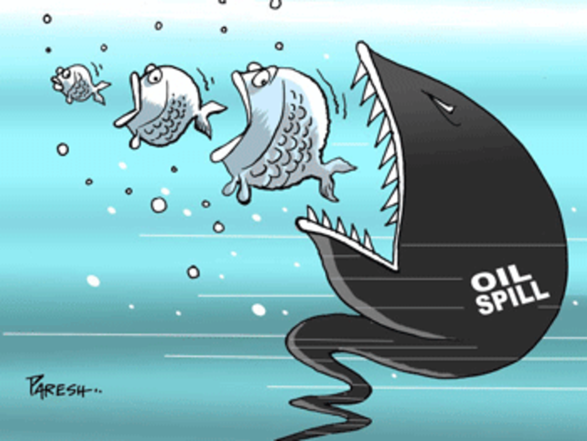 oil spill