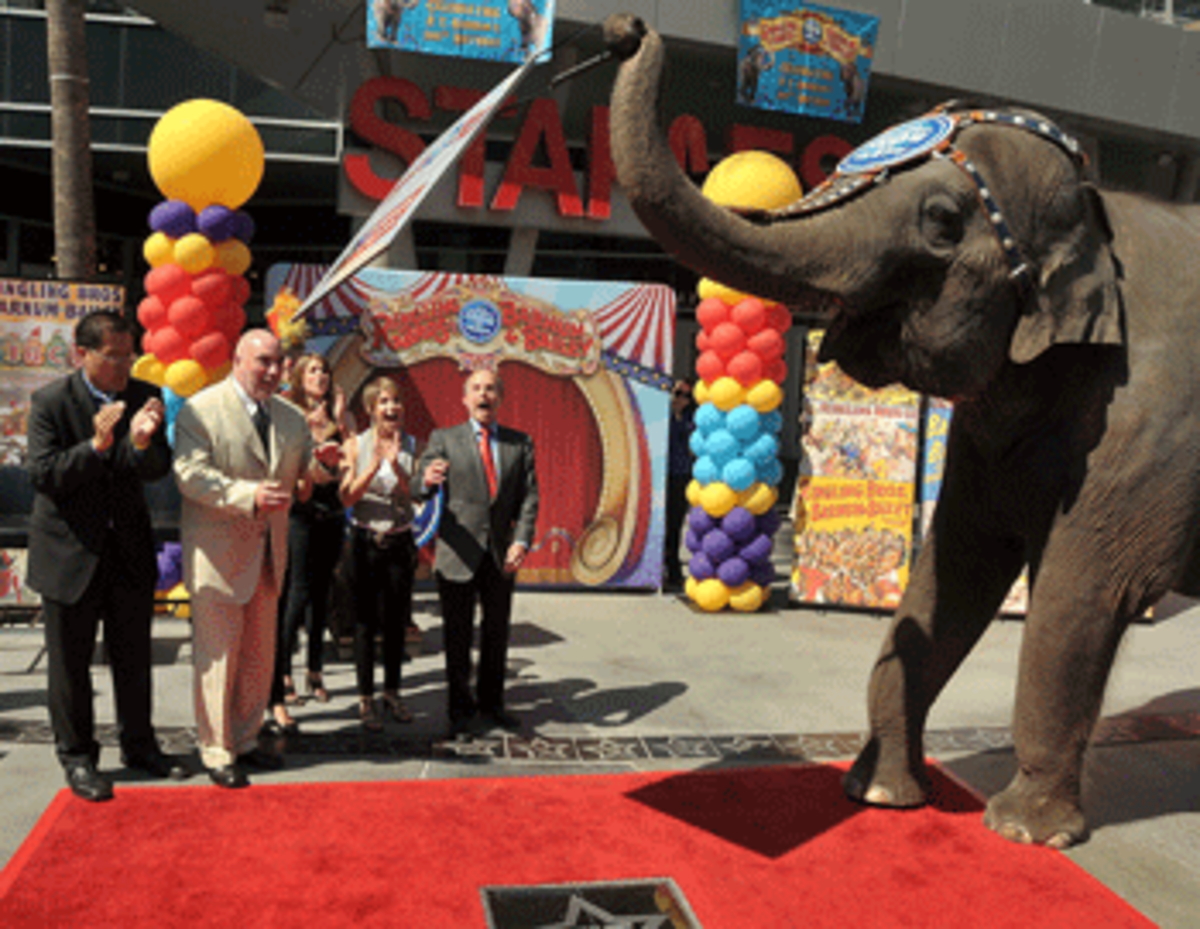 ringling brothers circus star