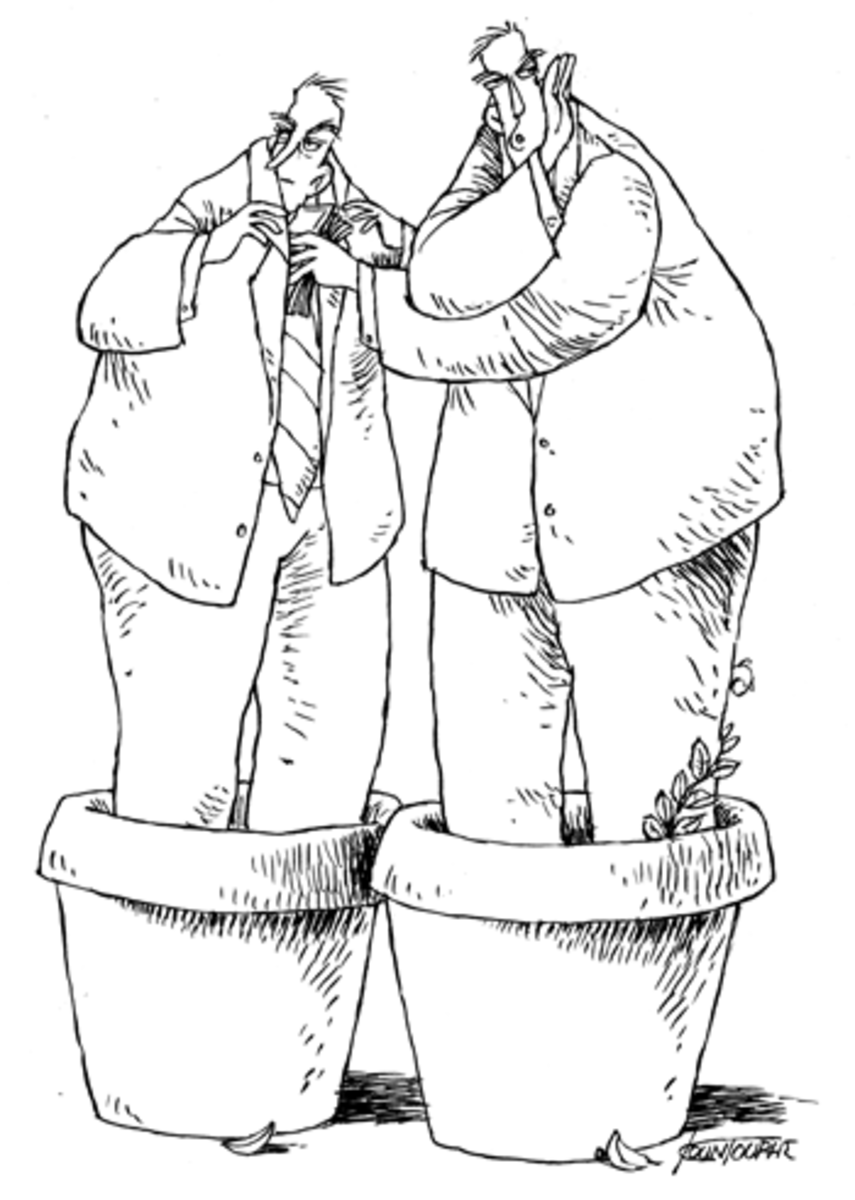 government contracts