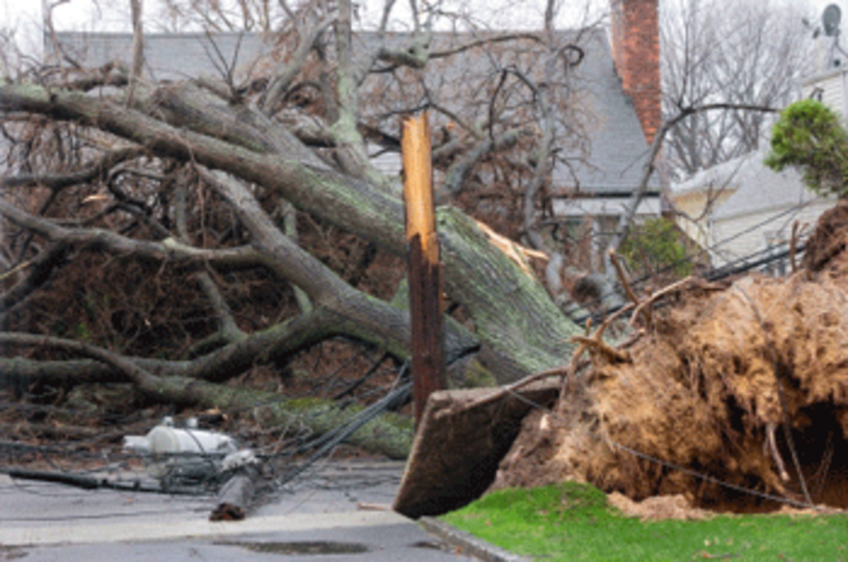 Rockaway Forgotten After Storm Sandy