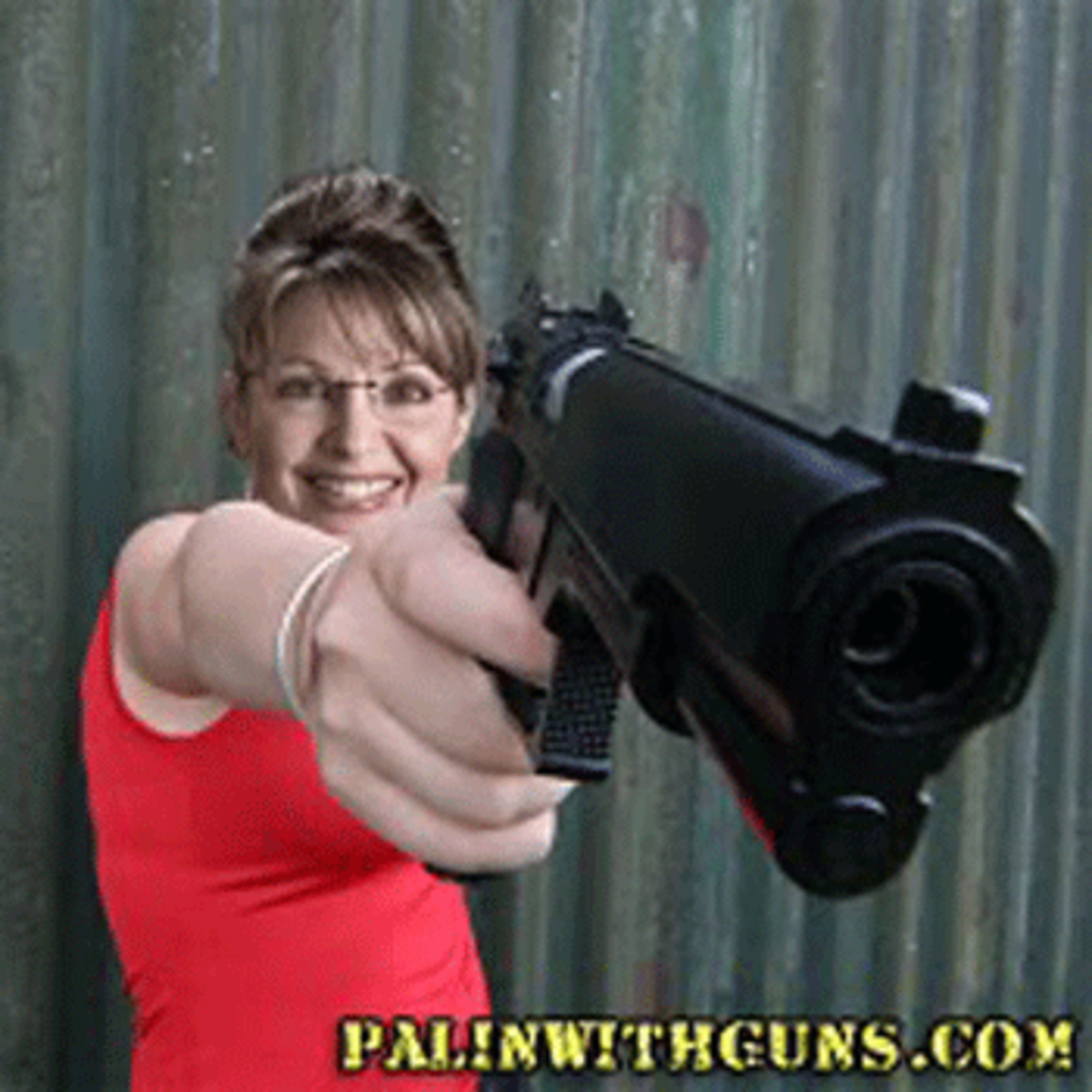 sarah palin with guns