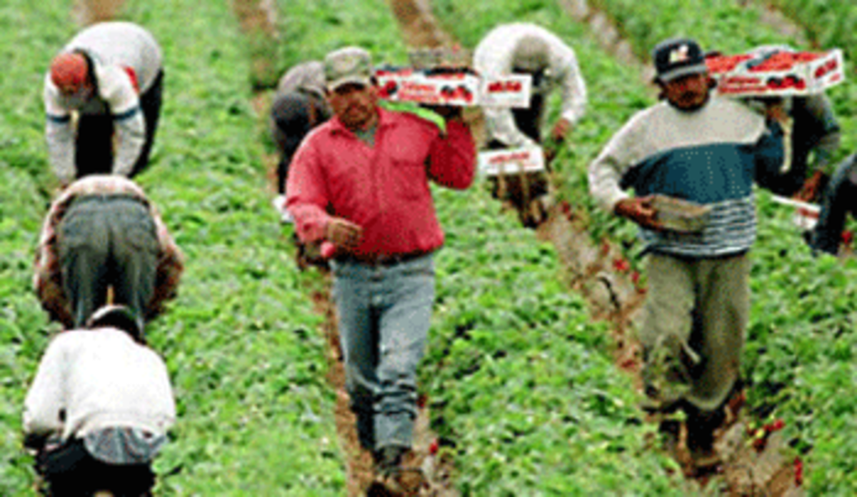 migrant workers