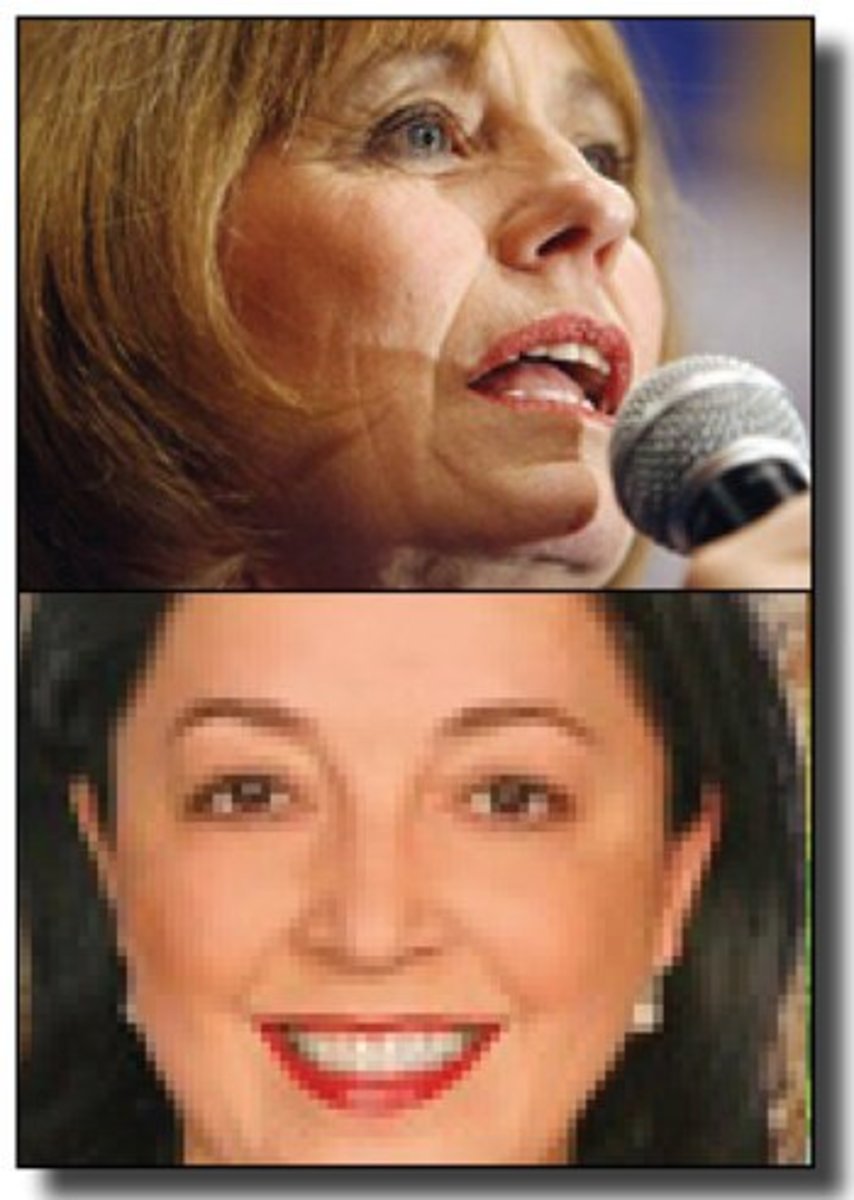 sharron angle tibi evans