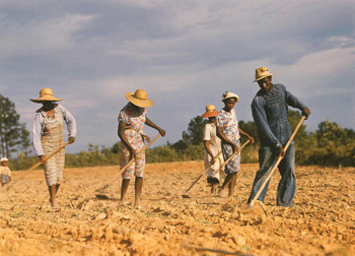 field photo field Haley Barbour’s Yazoo City and Mine