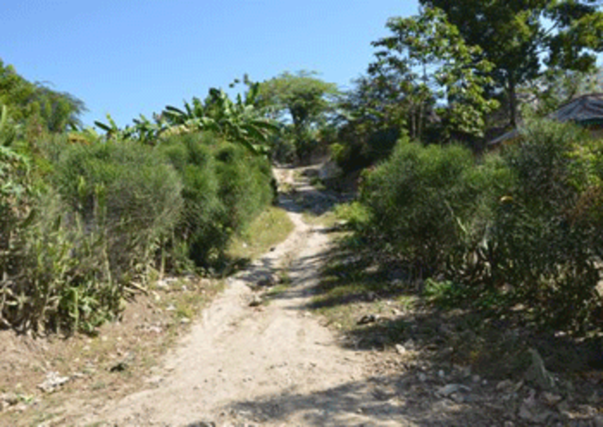 haiti agencies leave 5 photo haiti agencies leave 5 Haiti: After Relief Agencies Leave