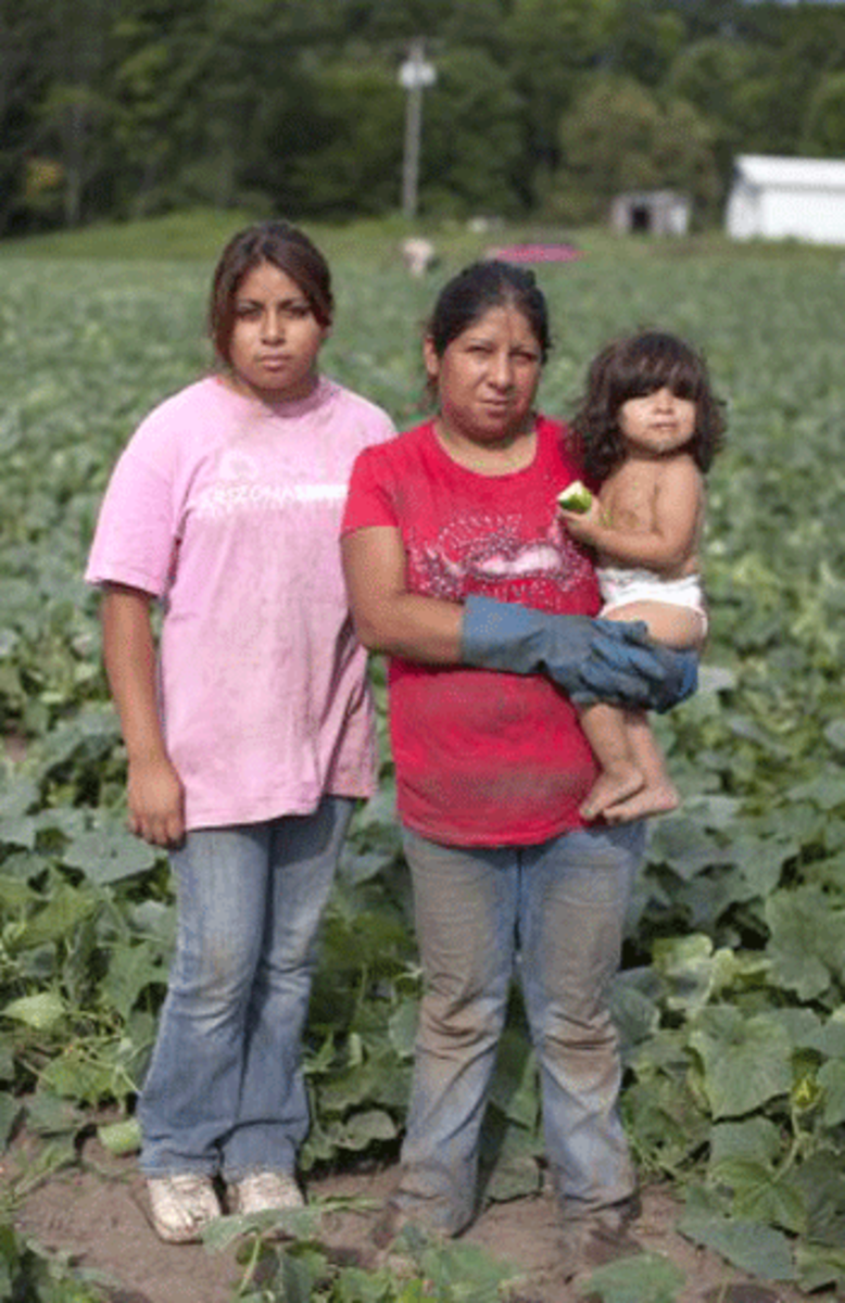 the harvest