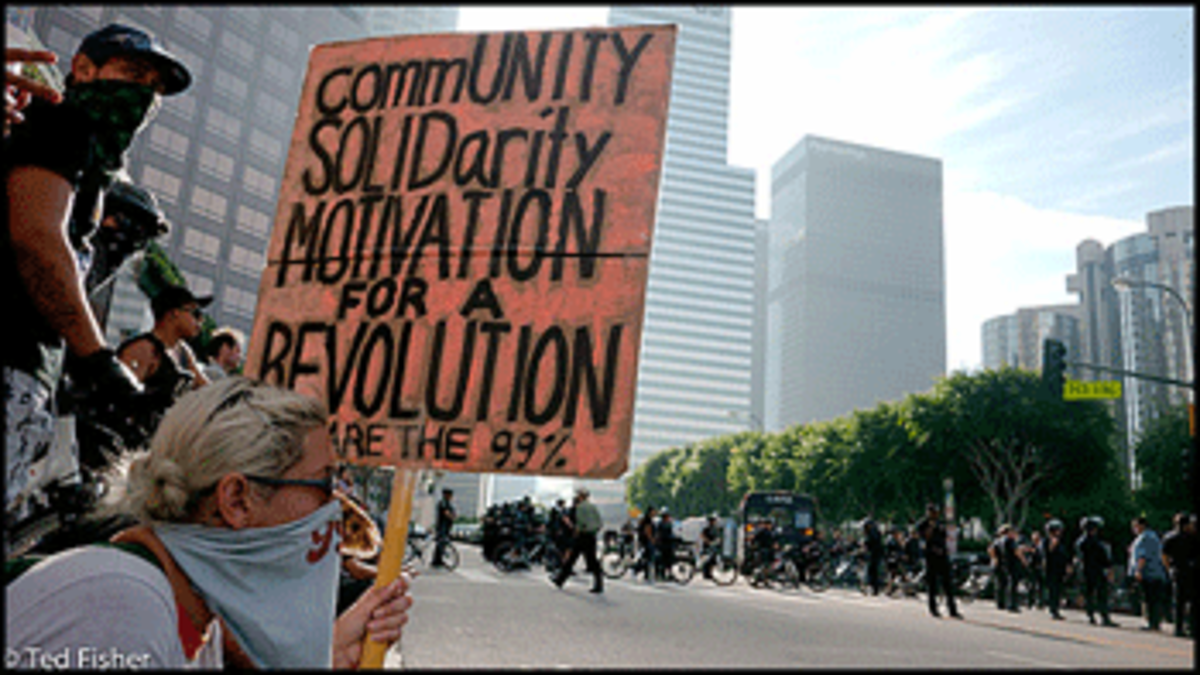 occupy la street ted photo occupy la street ted Reform vs. Revolution Within Occupy