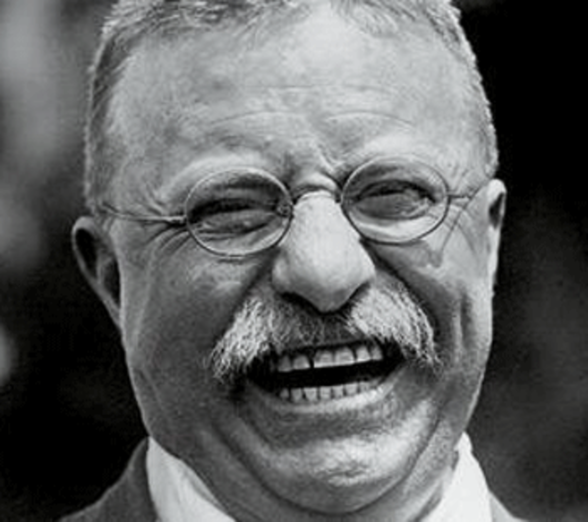 Theodore Roosevelt: the Great Environmentalist