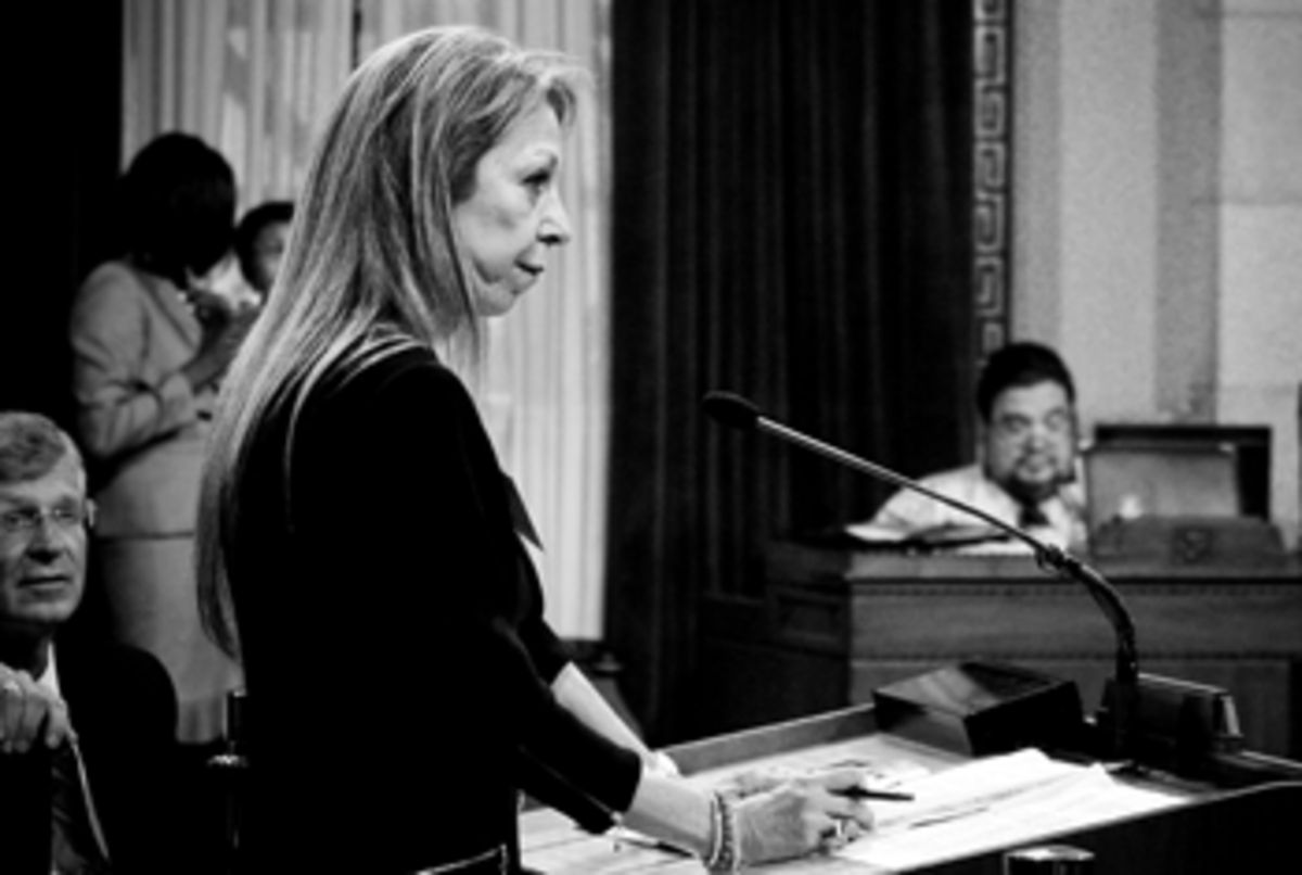 council chambers 2 LA’s Redistricting War and the Health of Our Democracy