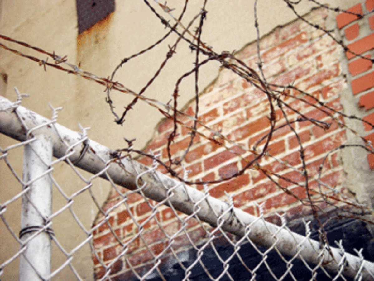 fence No One In Los Angeles Ever Takes the Blame
