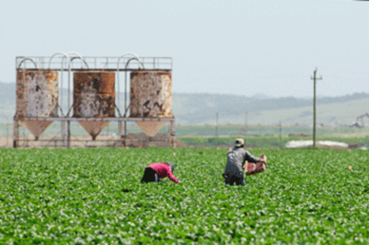 immigrant farmworkers How The South Can Rise Again: Immigrants