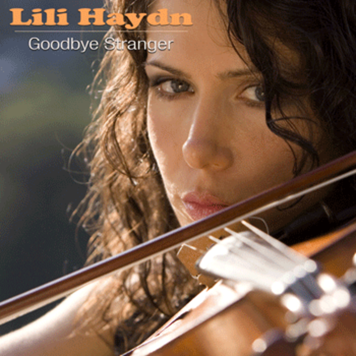 lili haydn Green Party Music Benefit March 22nd