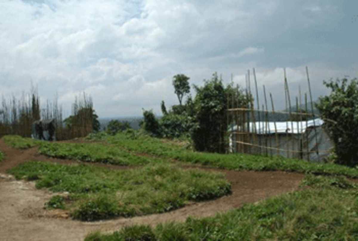jomba-camp
