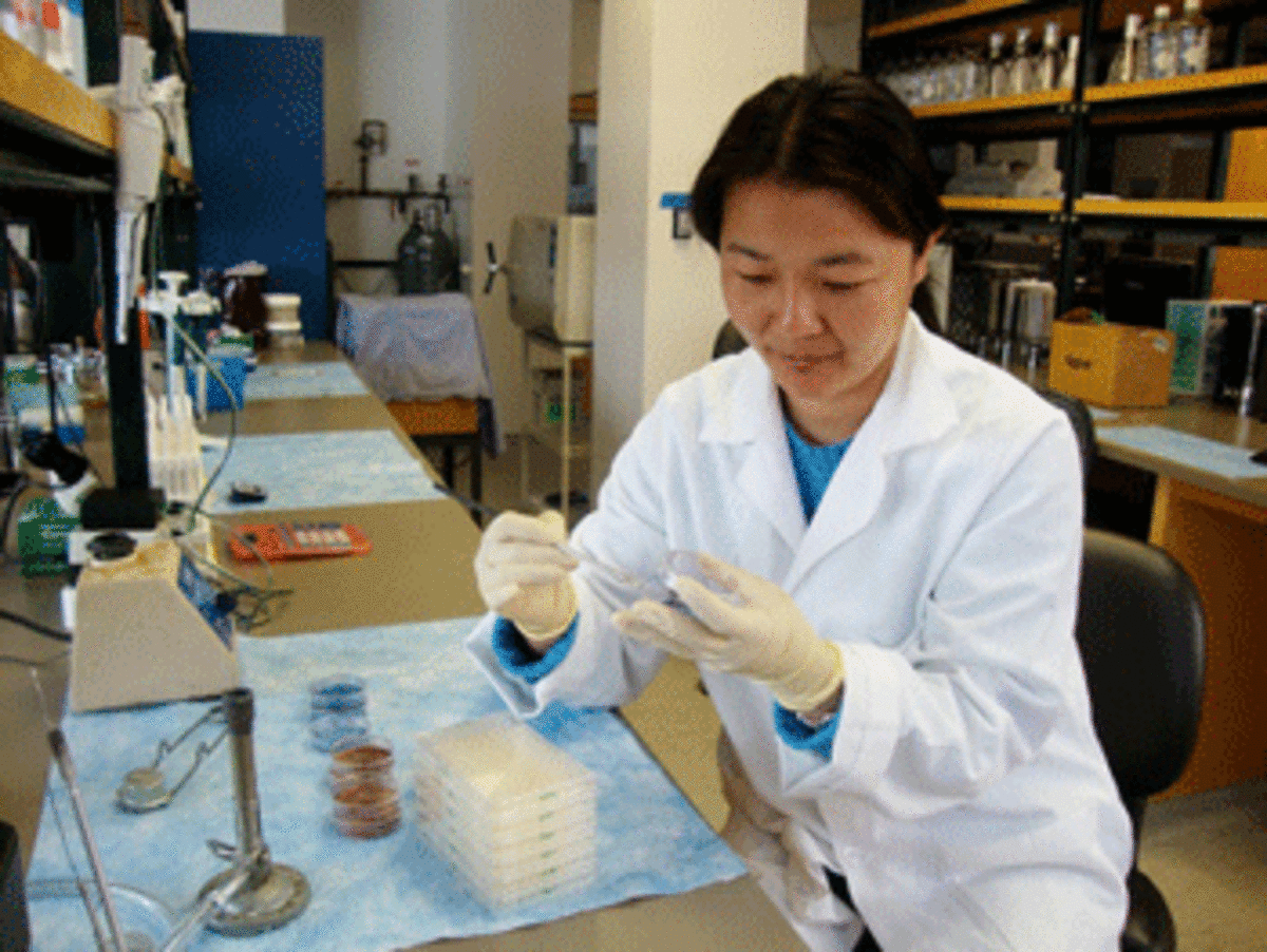 skilled worker1 Demand for H 1B High Skilled Worker Visas Spread Unevenly 