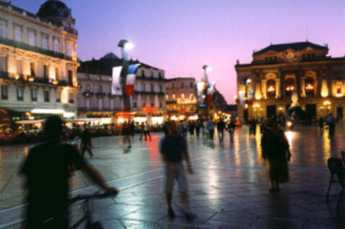 Montpellier How Socialized Medicine Works in France