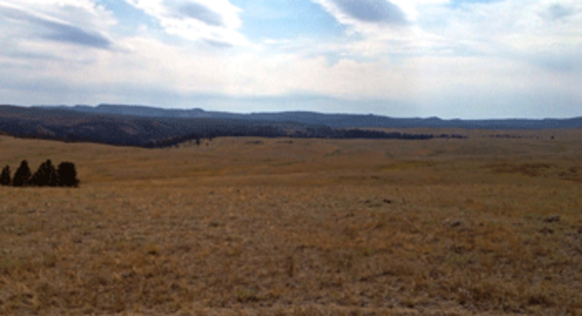 black hills