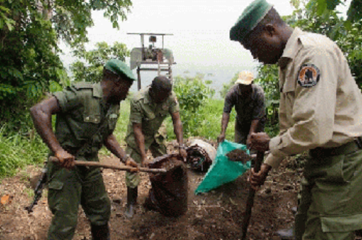 smuggling rebels in the congo