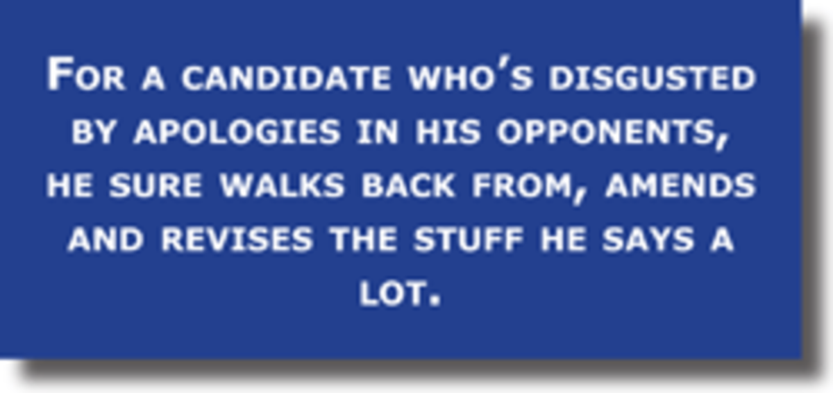 tina-mitt-pq1 mitt apology