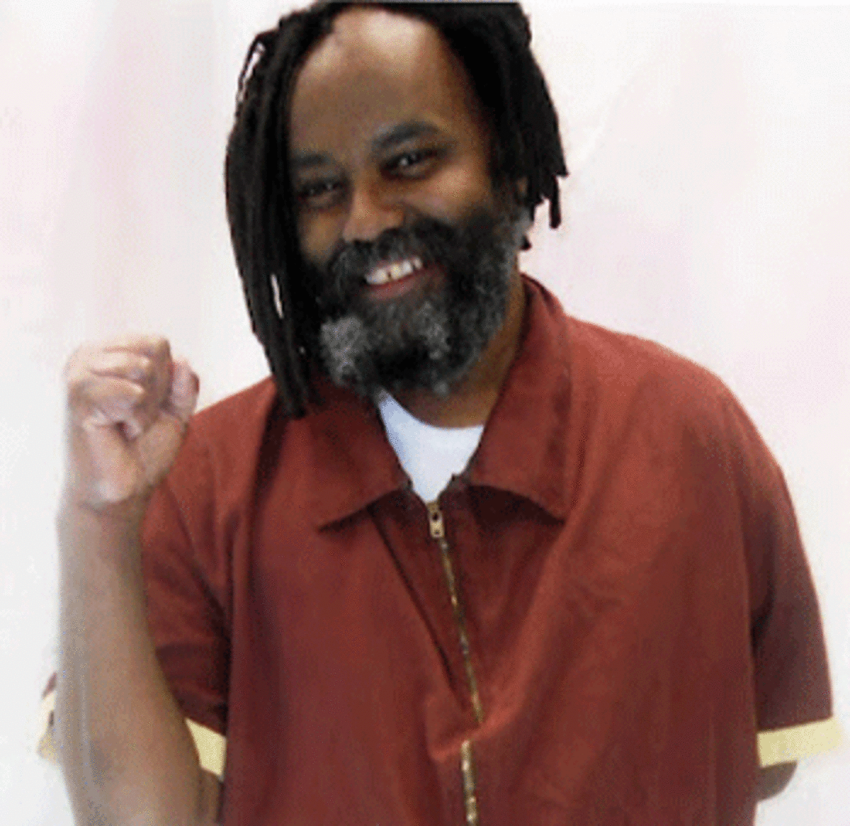 Mumia raised fist A Journey with Mumia Abu Jamal