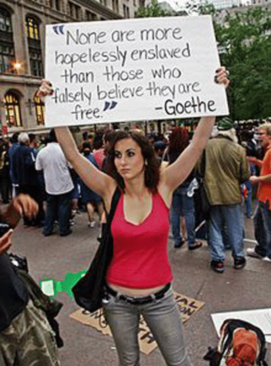 ows goethe1 Occupy Wall Street: A Year Later