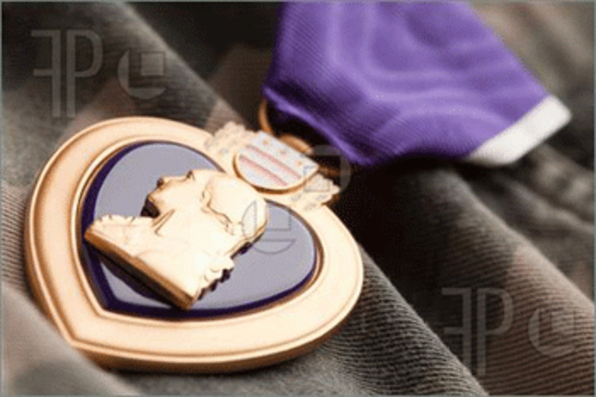 Combat Wounded Veterans at Home