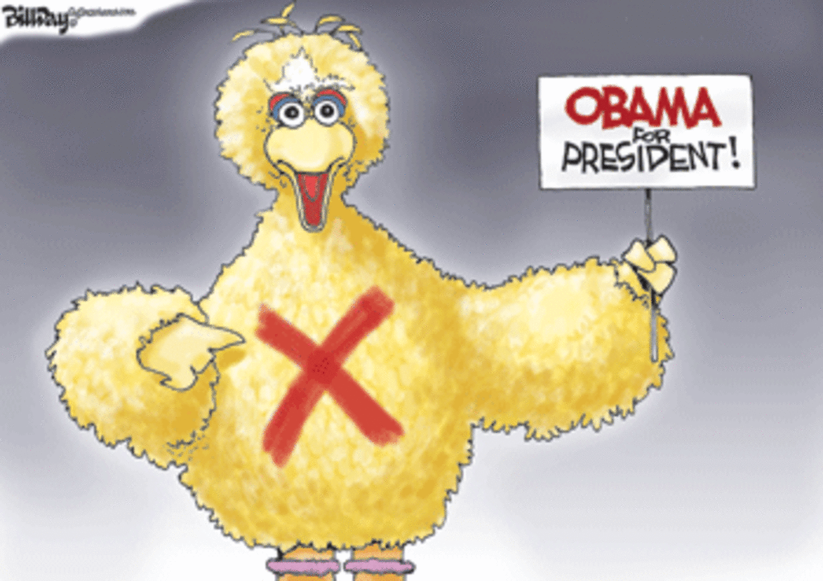 big bird fior obama Bill, Not Big Bird, to the Rescue