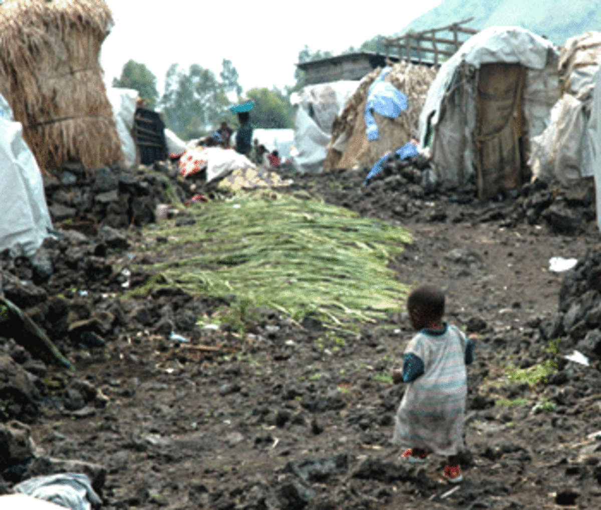 child jpg 3681 20121119 983 photo child jpg 3681 20121119 983 Humanitarian Disaster Unfolds in Eastern Congo