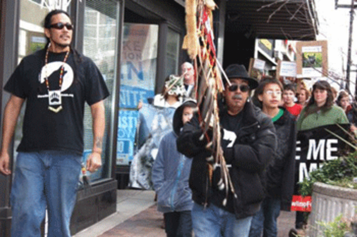wolf trap 2 Ojibwe Creation Symbol Threatened by Minnesota Wolf Hunt
