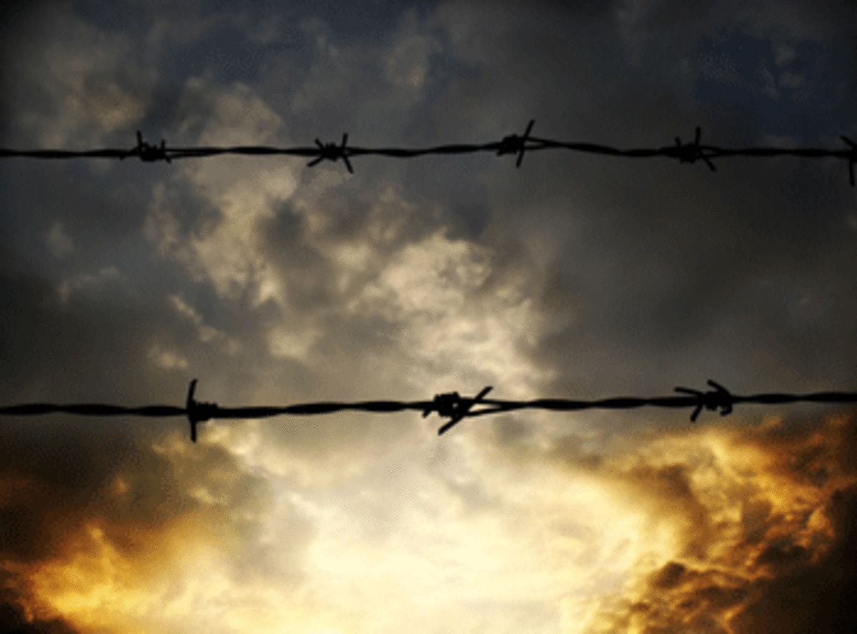 barbed widre Penal Trends: Strange Weather or Climate Change?  