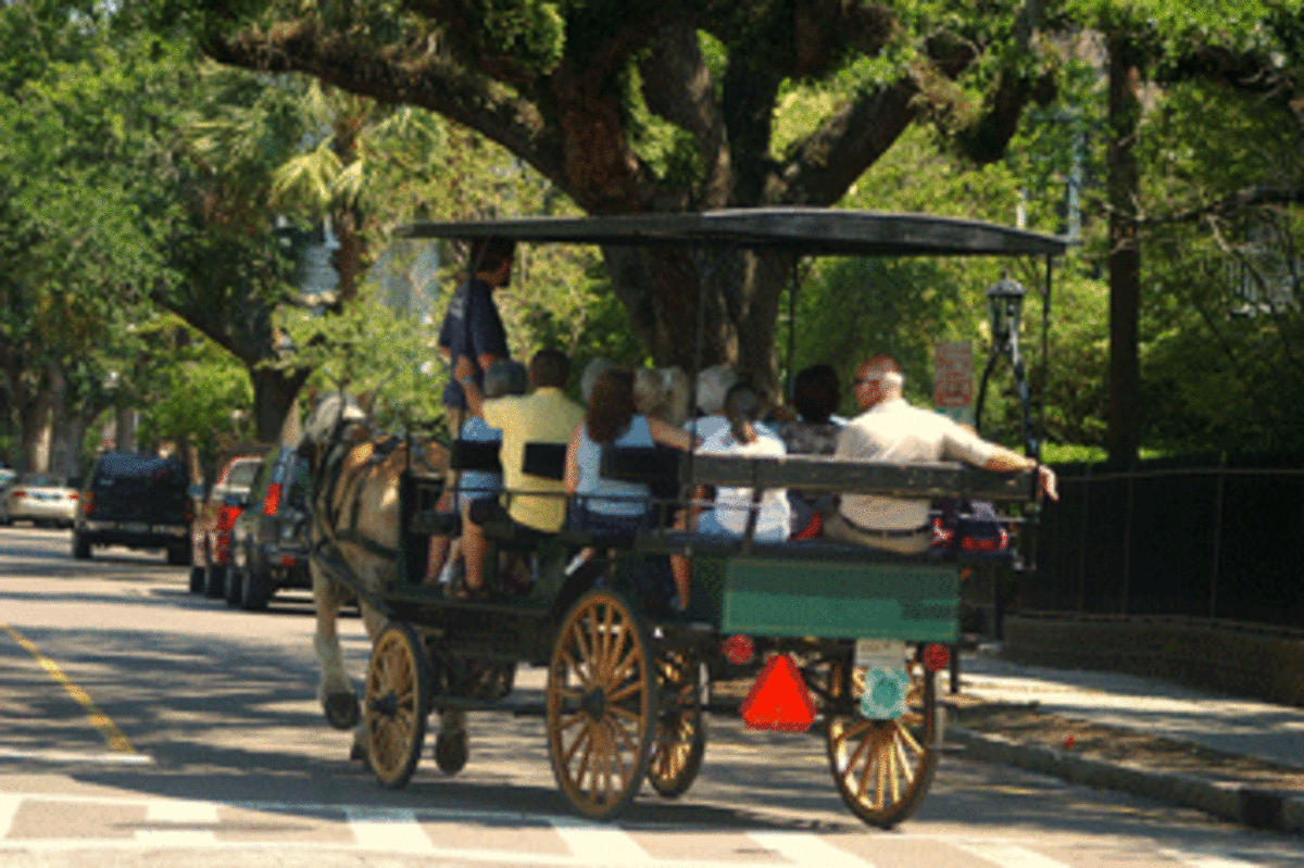 carriage tour photo carriage tour Red State, Blue State