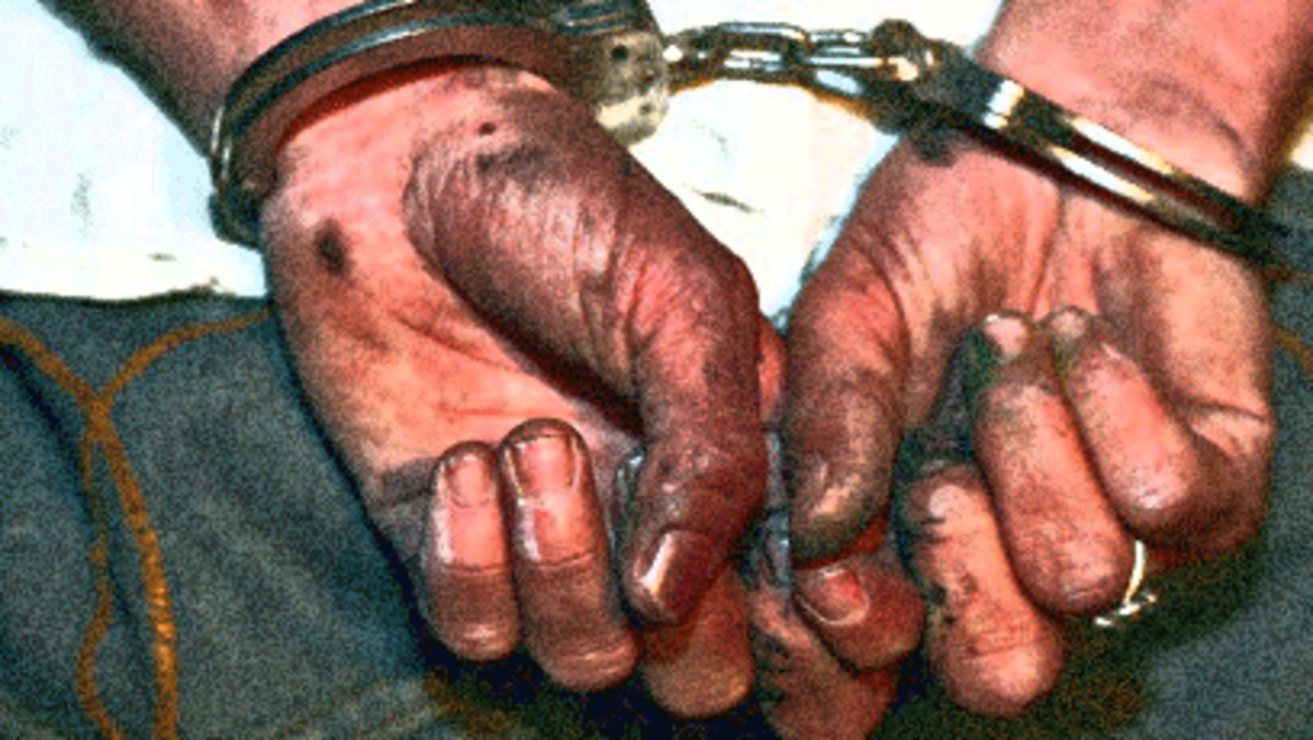 alawar crack free torrent