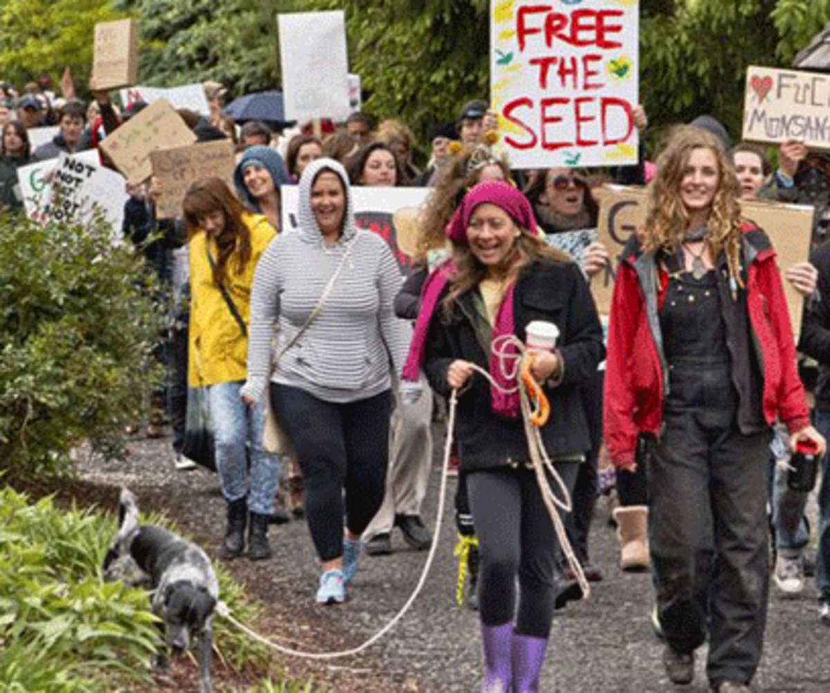 gmo labelling protest photo gmo labelling protest Is Movement to Label GMOs Anti Science?