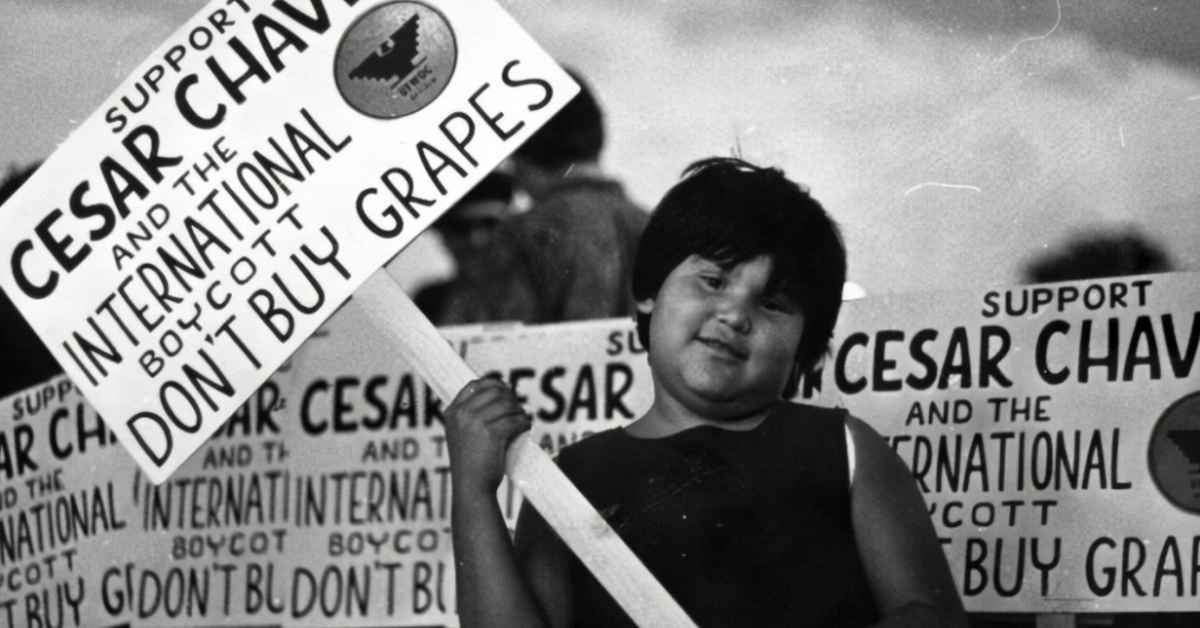 Boycotting Boycotts LA Progressive