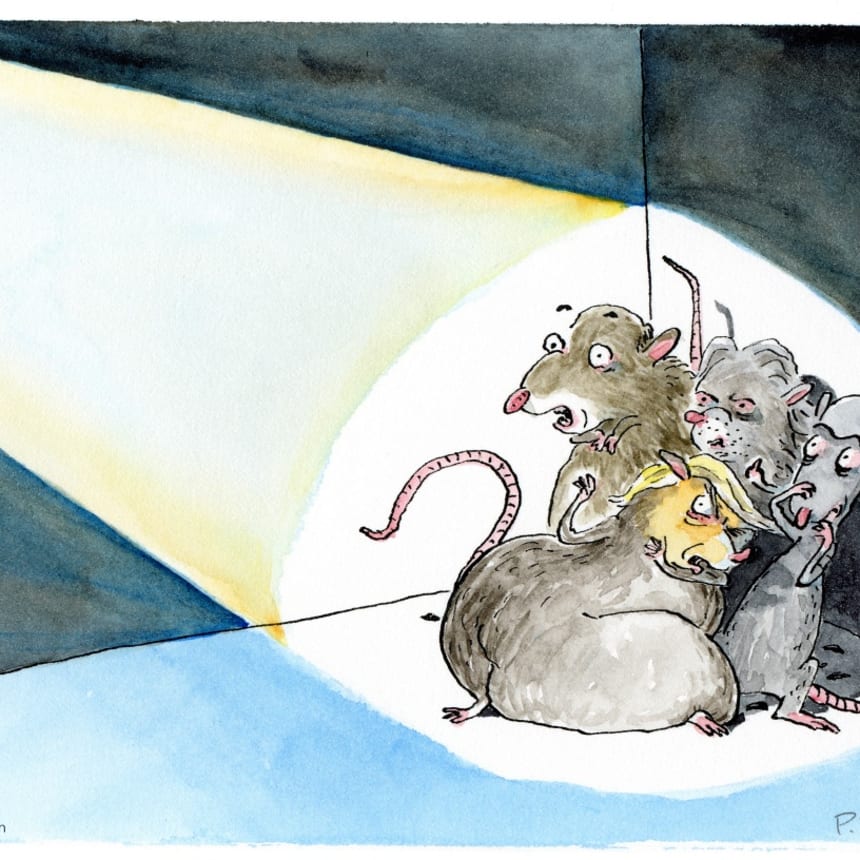 cornered rats 1200
