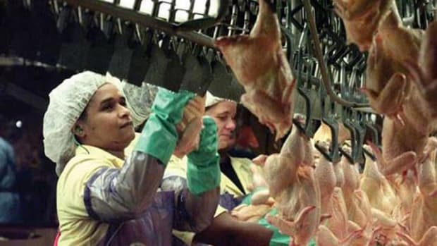 Help Protect Food Workers Endangered by Antibiotics Overuse — Joann Lo