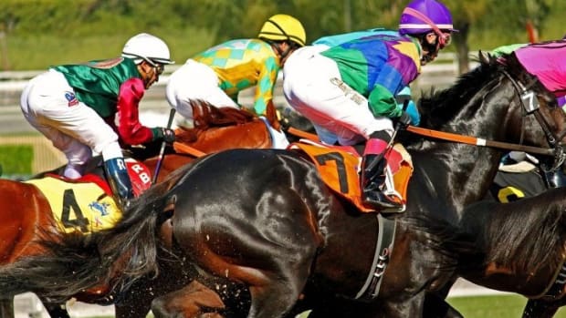 Horse Racing Controversy